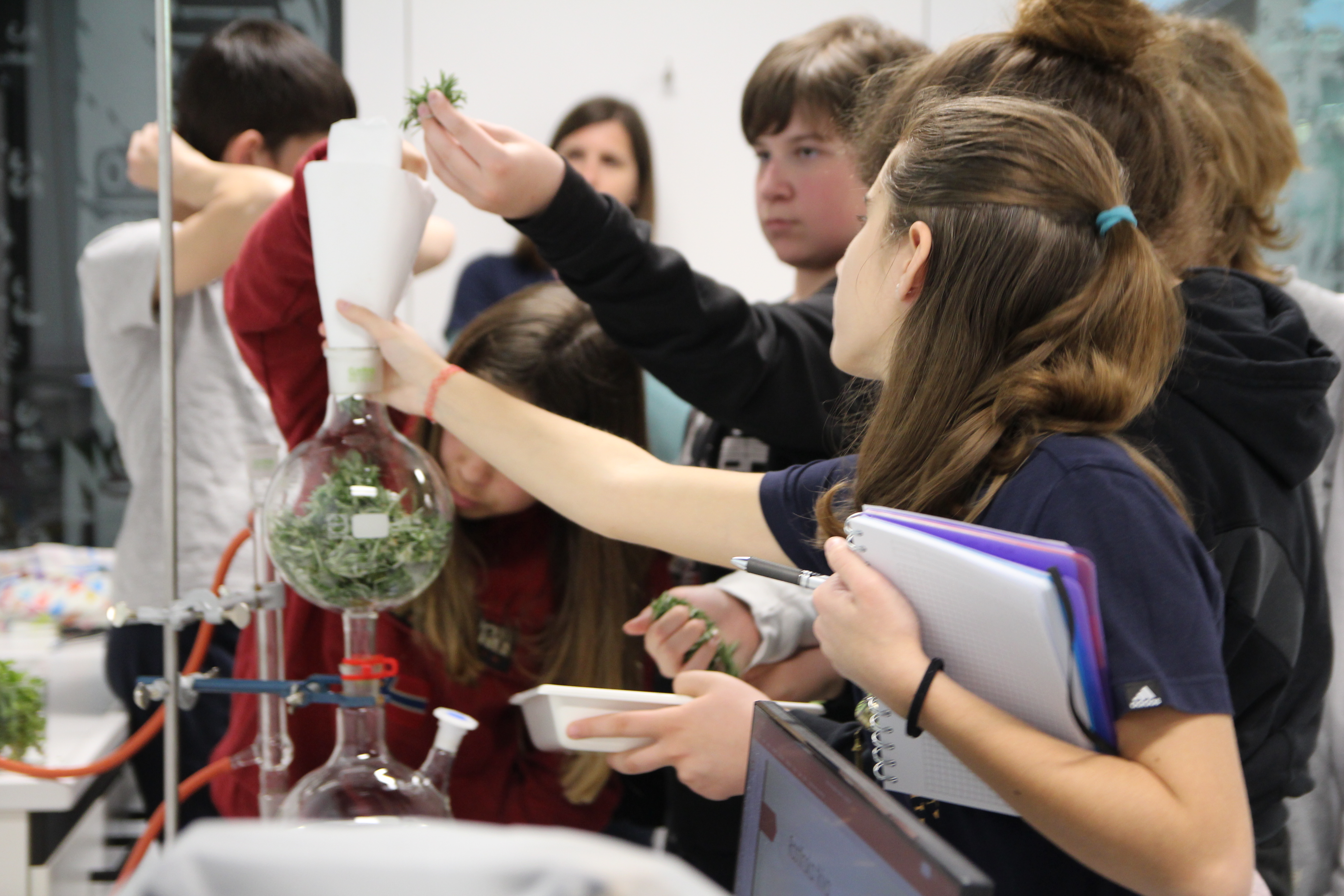 Natural Science Day of the Elementary School Dante Alighieri Izola